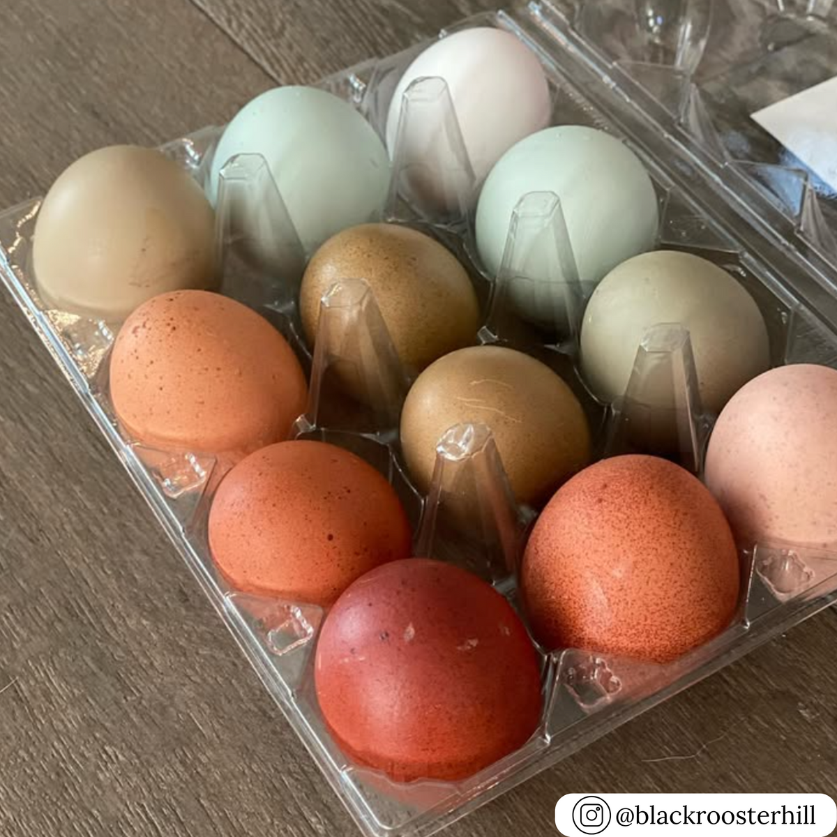 Plastic Clear Egg Cartons, Bulk Wholesale Pricing