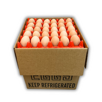 15-Dozen Shipping Case filled with 6 30-cell egg trays