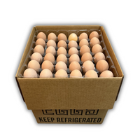 15-Dozen Shipping Case filled with 5 36-cell egg trays