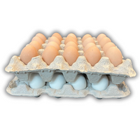 20-Cell filled with eggs stacked