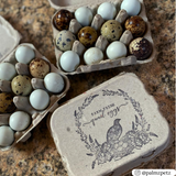 a stamped natural pulp quail egg carton filled with muti-colored speckled quail eggs