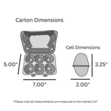 digital rendering of 6-egg duck pulp carton dimensions