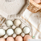 A 12-egg paper pulp octogon shaped incredible egg carton filled with light colored eggs