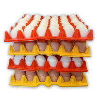 30-Cell Multi-Pack filled with eggs stacked