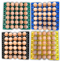 30-Cell Washable Multi-Pack filled with eggs