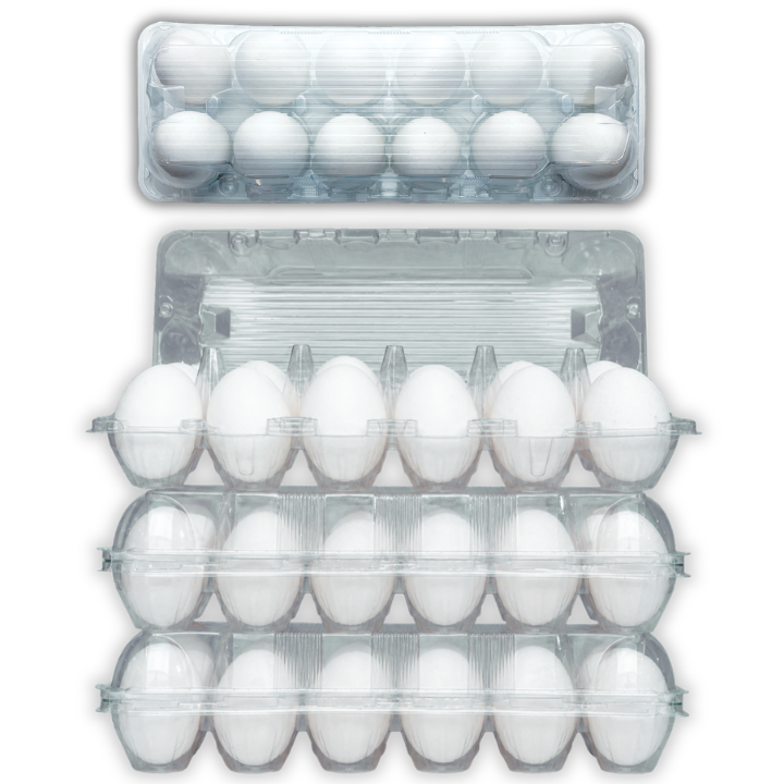 12-Egg Carton Flat Top, Ovotherm