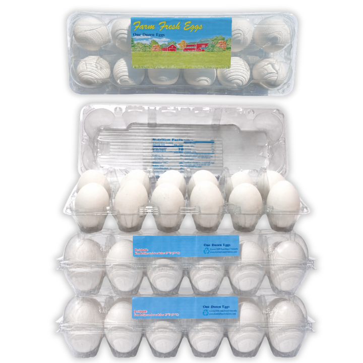 Plastic 2x6 Egg Carton | 12-Egg Labeled Ovotherm