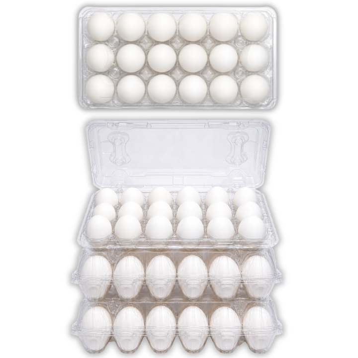 18-Egg Unlabeled Plastic Egg Carton