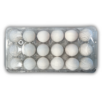 18-Egg, Ovotherm top view