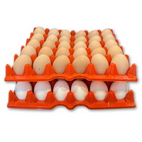30-Cell - Red filled with eggs stacked