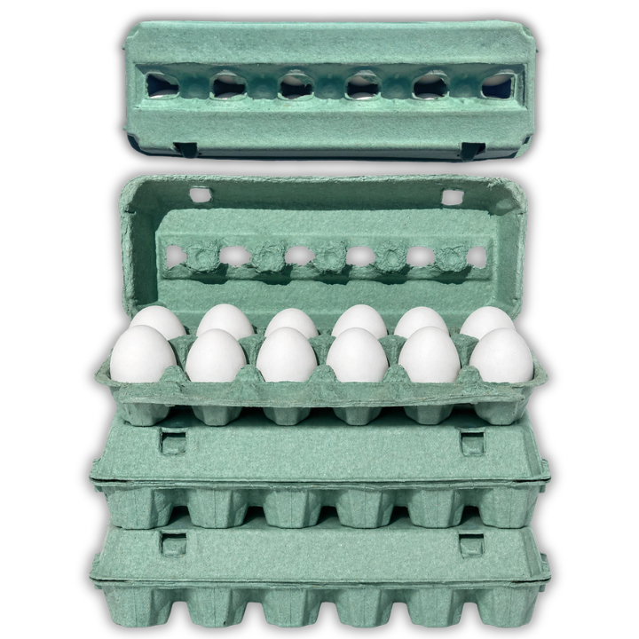 Teal Egg Carton, Pulp 12-Egg Blank 50