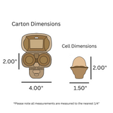 digital rendering, egg carton dimensions, natural pulp