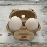 a natural paper pulp 2-cell egg carton with a small egg and large egg in it