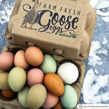 A stamped natural paper pulp goose egg carton filled with rainbow eggs.