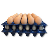 30-Cell Stackable Blue stacked with eggs