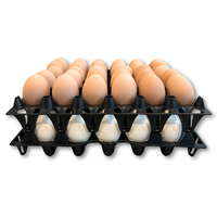 30-Cell Washable Black filled with eggs stacked