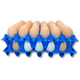 30-Cell Washable Blue filled with eggs stacked
