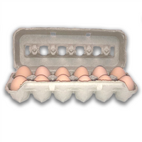 Jumbo Printed Egg Cartons - 12 Egg Pulp
