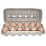 Jumbo Egg Carton Pulp - Bird Eggs