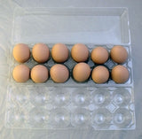Tri- Fold Egg Carton Plastic Unlabeled