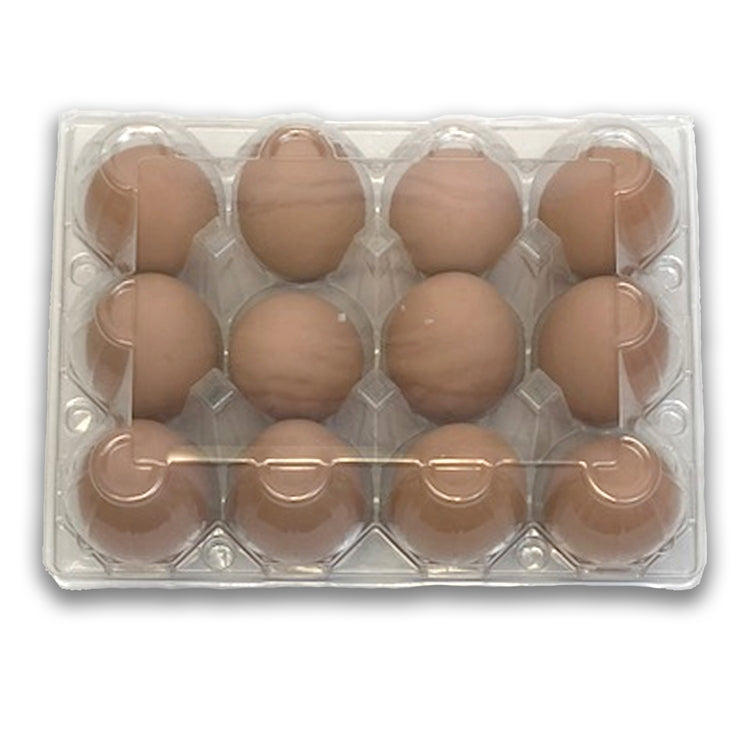 12-Egg Vintage Plastic