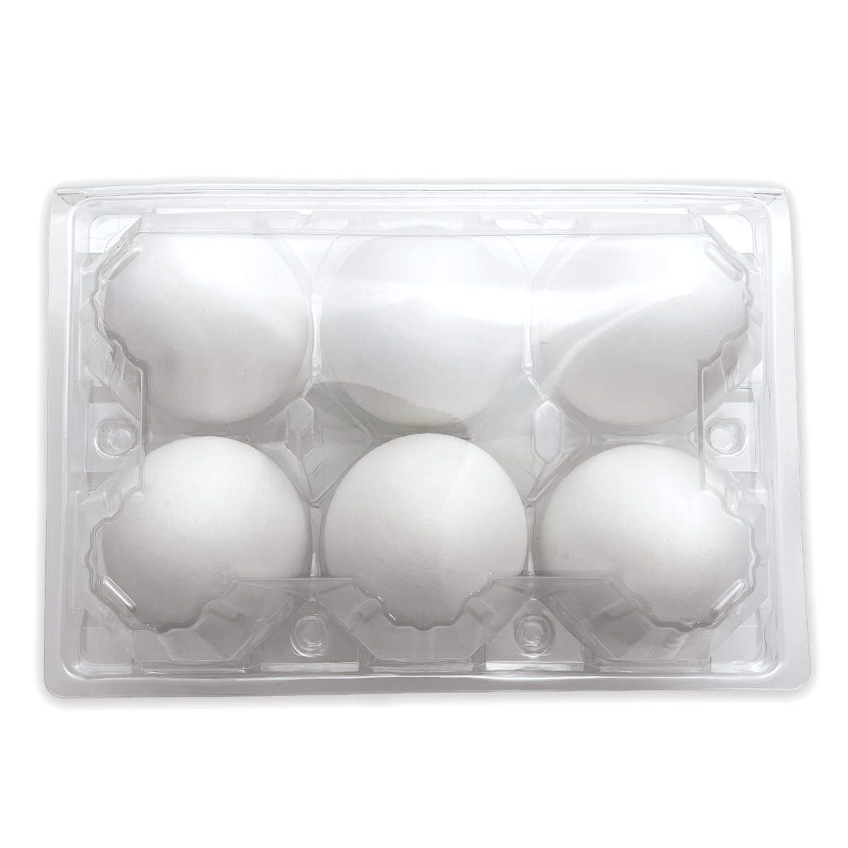 Duck Egg Carton Plastic 6Egg UnLabeled