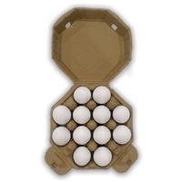 Unique Shaped Paper Egg Carton with bulk pricing