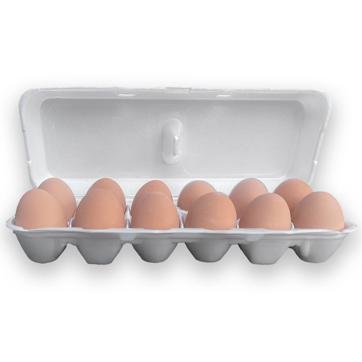 White Styrofoam Egg Carton Recyclable Foam Egg Carton