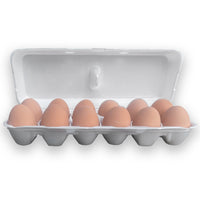 Open 12-egg white foam carton, S-XL eggs