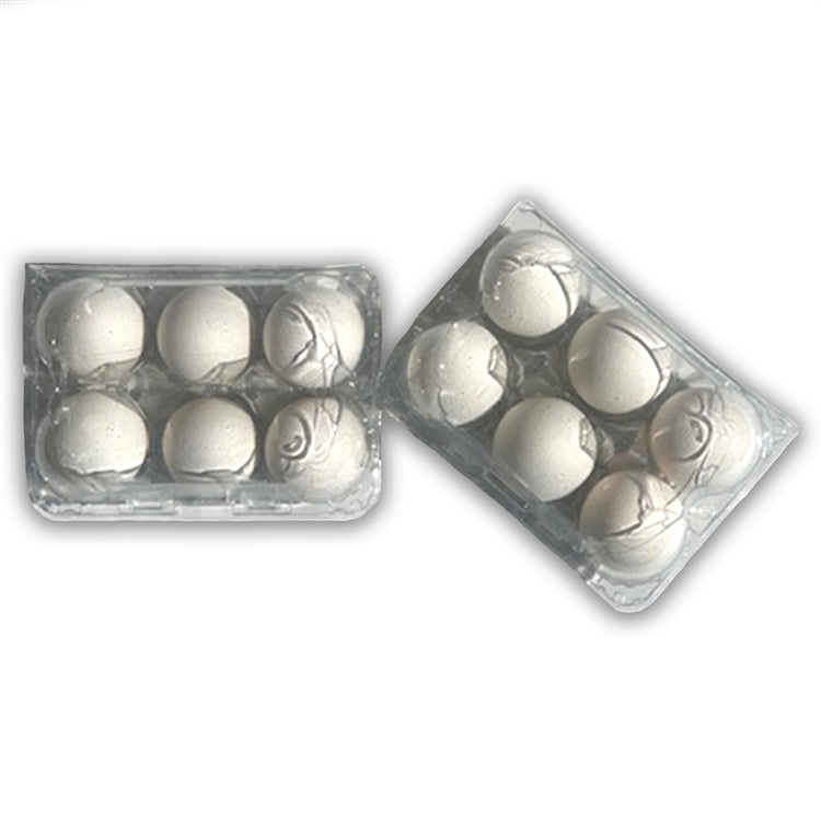 Plastic 6-Egg Unlabeled Egg Carton