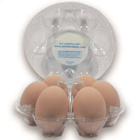 open view, ovotherm, starpack, holds 6 eggs