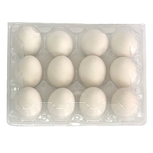 Plastic 12 Cell Vintage Carton, eggs, bulk,  unlabeled