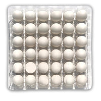 Egg Tray/Filler Flat, Egg Crate, Clear Plastic 36 Cell 1