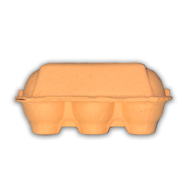 Pulp 6Egg Blank Orange Egg Carton