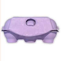 front view of latch, purple egg cartons, 6 egg storing, bird eggs, bulk pricing, 