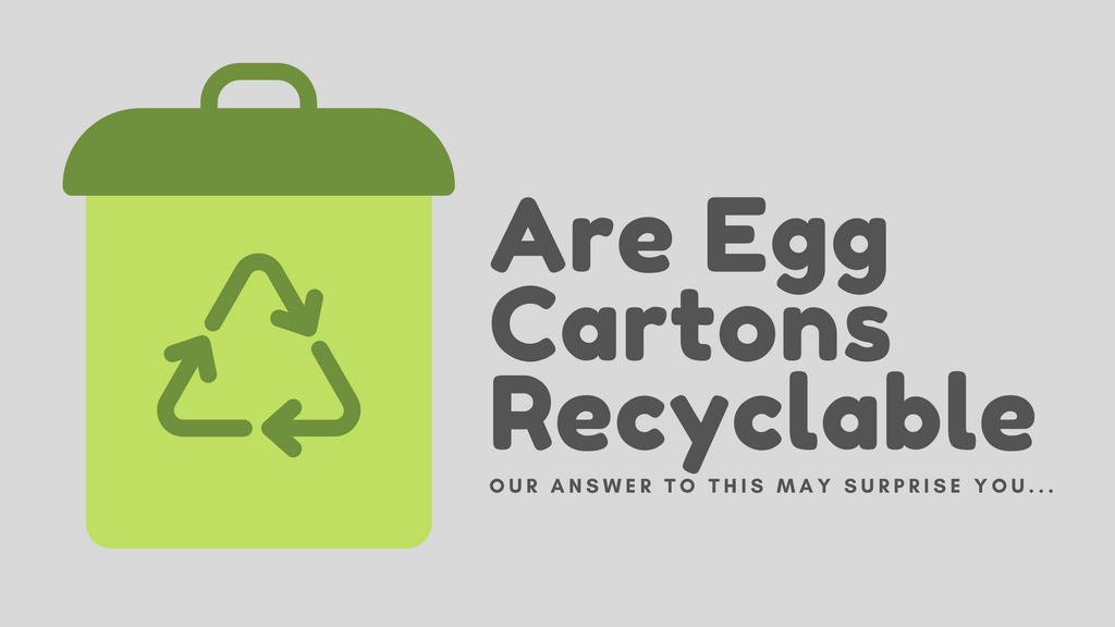 Are Egg Cartons Recyclable?