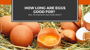 How Long Are Eggs Good For After the Sell By Date & More