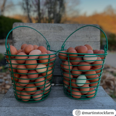 8" wire egg collecting basket