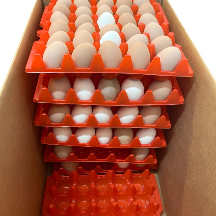 Egg Shipping Boxes and Cases, Cardboard, 30 Dozen 250