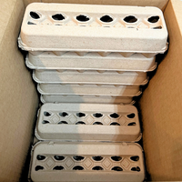 15-Dozen Egg Carton Shipping Case open to show that cartons are stacked 3x5