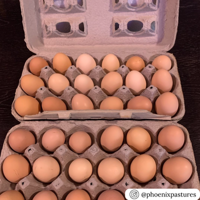 Printed 18-egg pulp carton