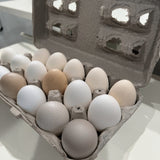 An 18-egg paper pulp egg carton filled with large eggs