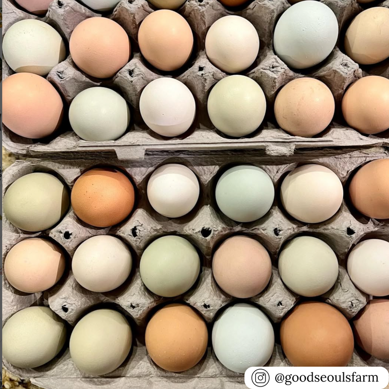 Natural pulp 18-egg carton packaging, bulk wholesale pricing available