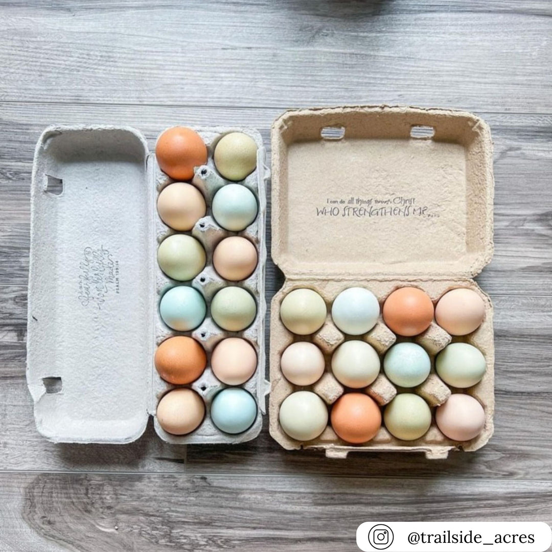 Egg Carton - Flat Top Pulp Egg Carton, Blank Paper Pulp
