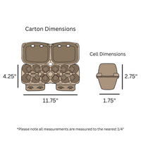 digital rendering, 6-egg split pulp carton dimensions