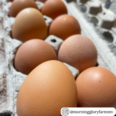 Natural pulp open stock 12-egg carton