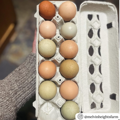 12-egg open stock blank paper pulp carton, bulk wholesale 