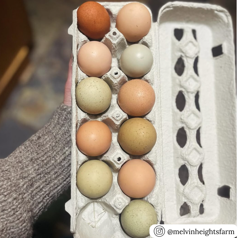 12-egg open stock blank paper pulp carton, bulk wholesale 
