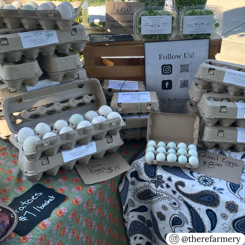 12-egg open stock natural pulp carton in bulk at a farmstand