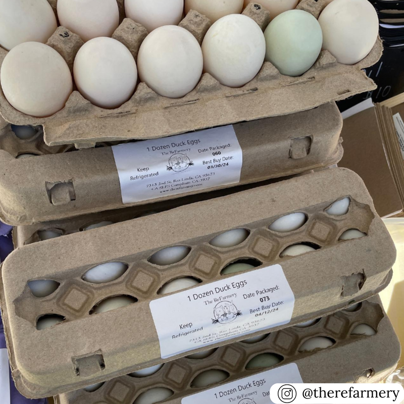 12-cell egg carton, recyclable paper carton, whole sale prices and quantities for commercial farming 